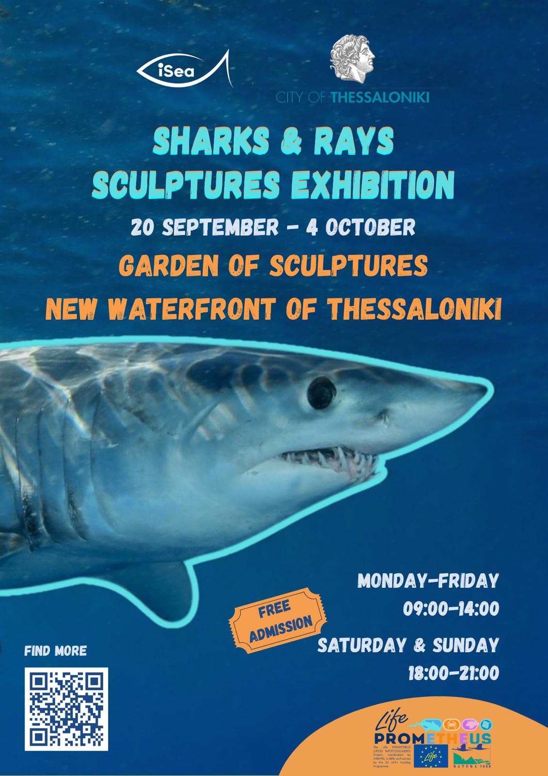 Sharks & Rays Sculptures Exhibition